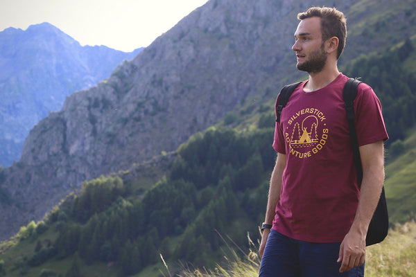 les deux alpes in Summer