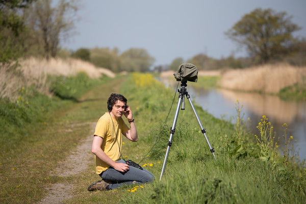 the nightingales of shapwick heath