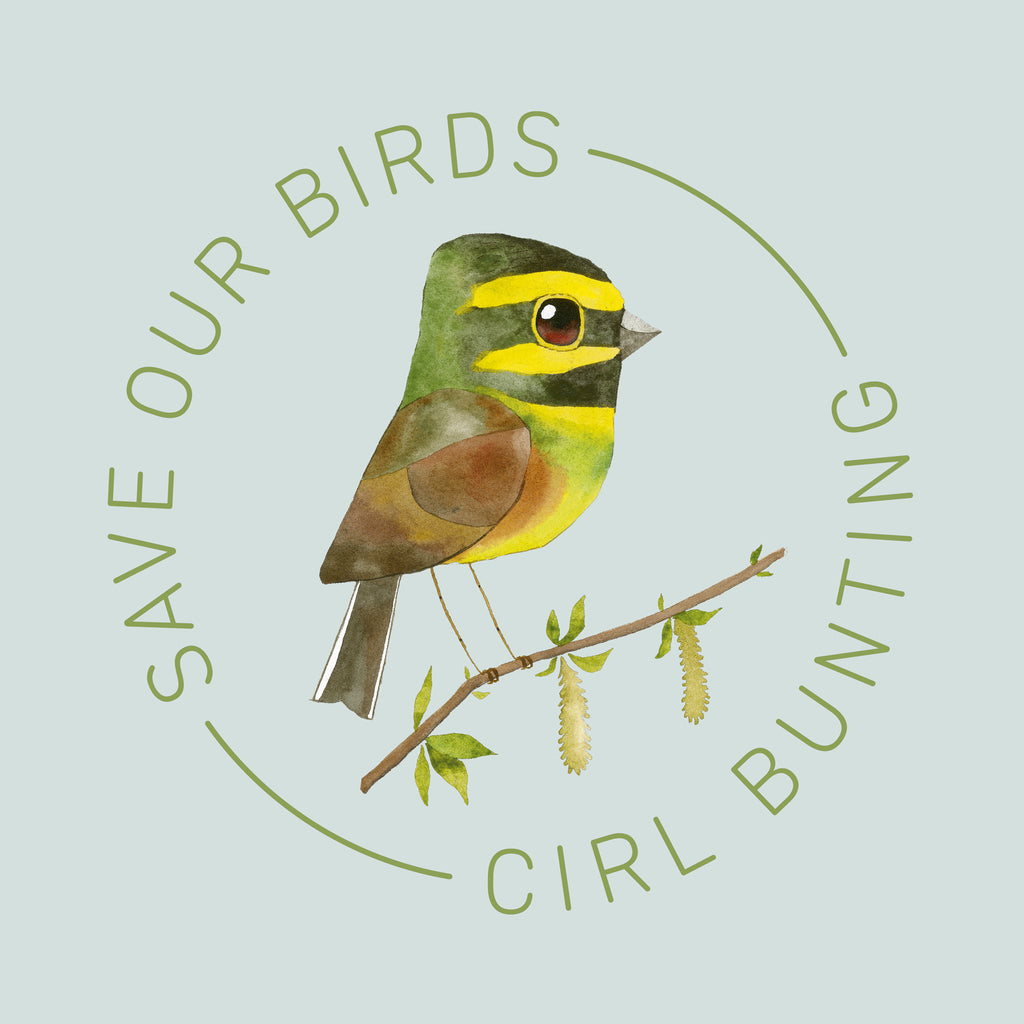 Matt Sewell Silverstick Cirl Bunting Tee