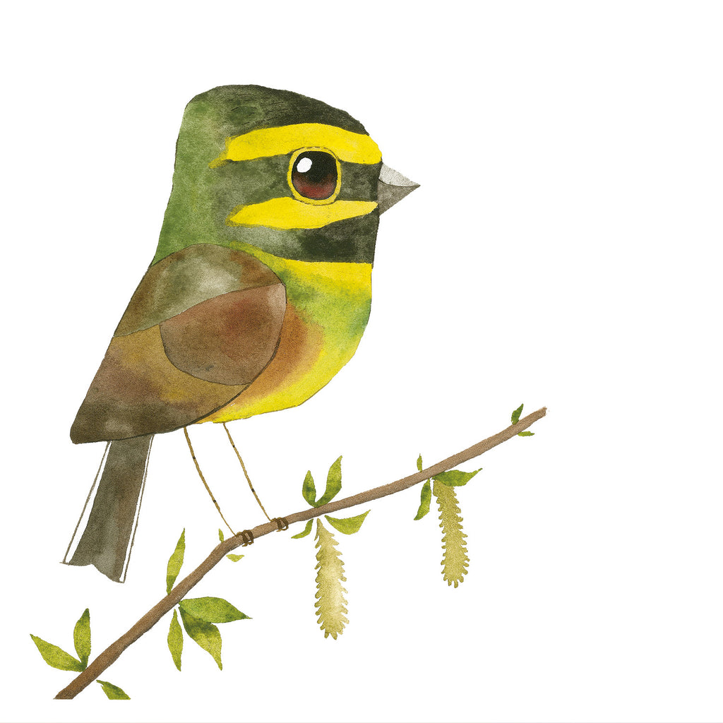 Matt Sewell Silverstick Ciri Bunting Painting