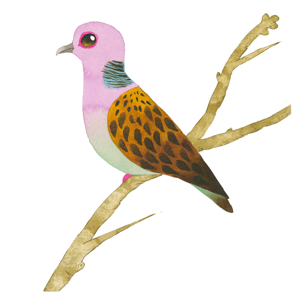 Matt Sewell Silverstick Turtle Dove Painting